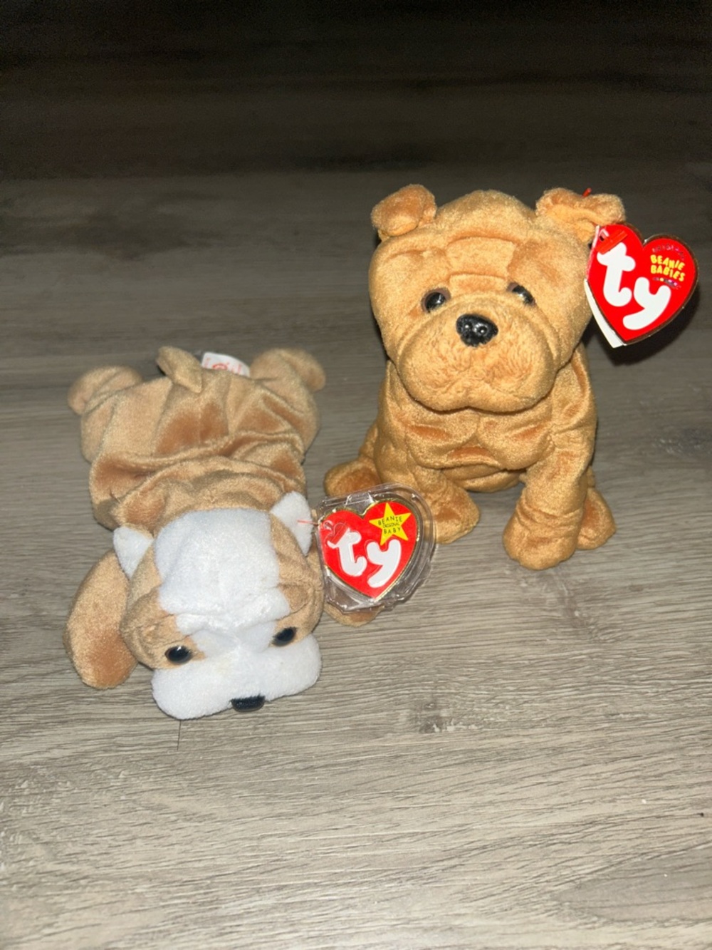 Ty Bulldog Beanie Babies Duo - Crinkles & Wrinkles